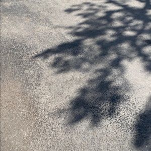 Meet your Posher, Samia